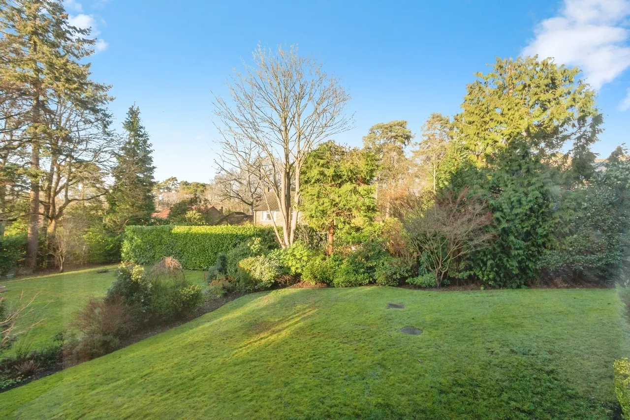 Branksome Park Road, Camberley, GU15, photo 15