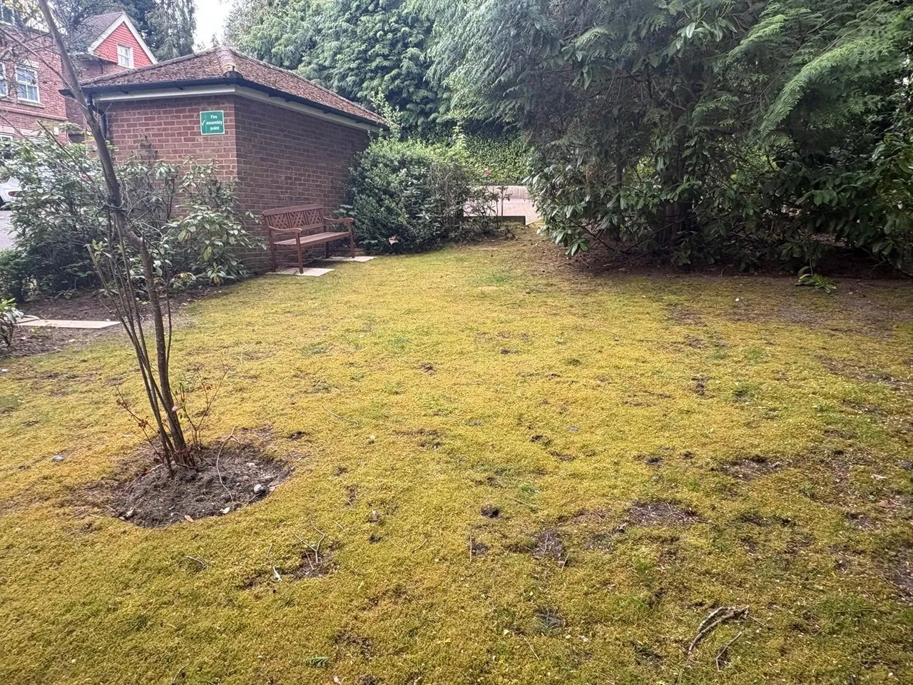 Branksome Park Road, Camberley, GU15, photo 18