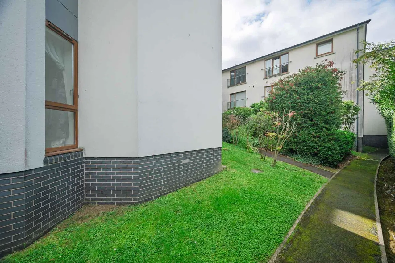 Shaftesbury Drive, bangor, BT20, photo 21