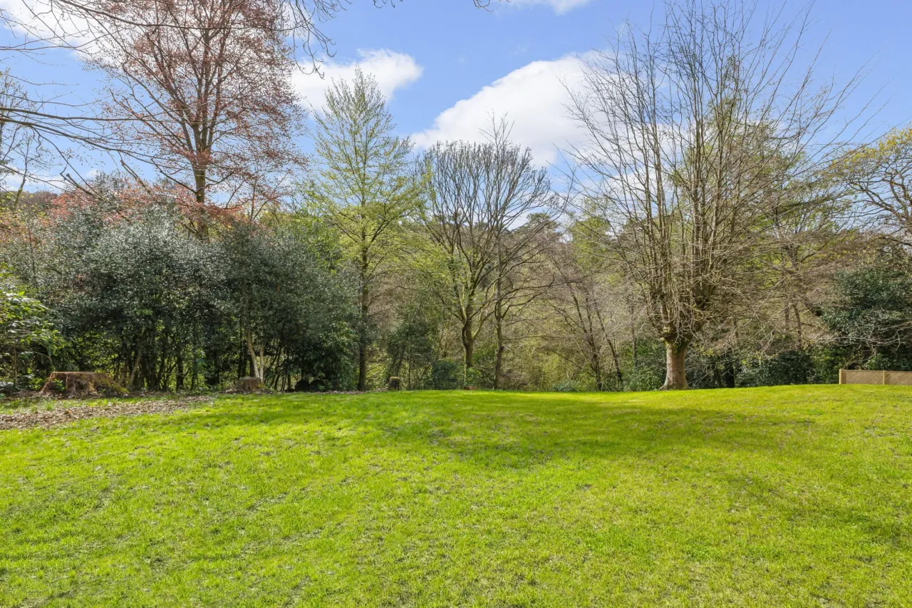 Whitmore Vale Road, GU26, photo 30