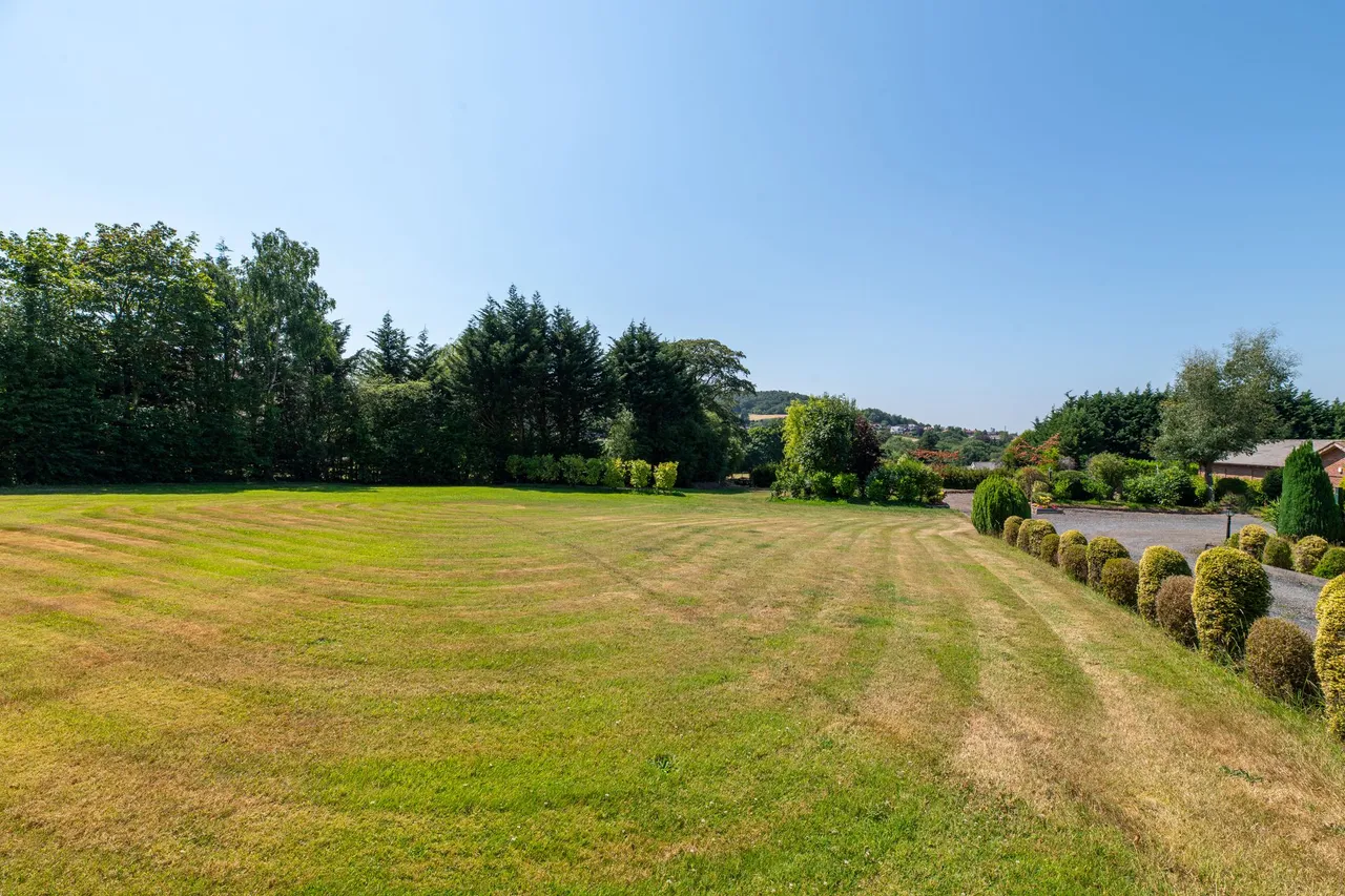 Frodsham, photo 35