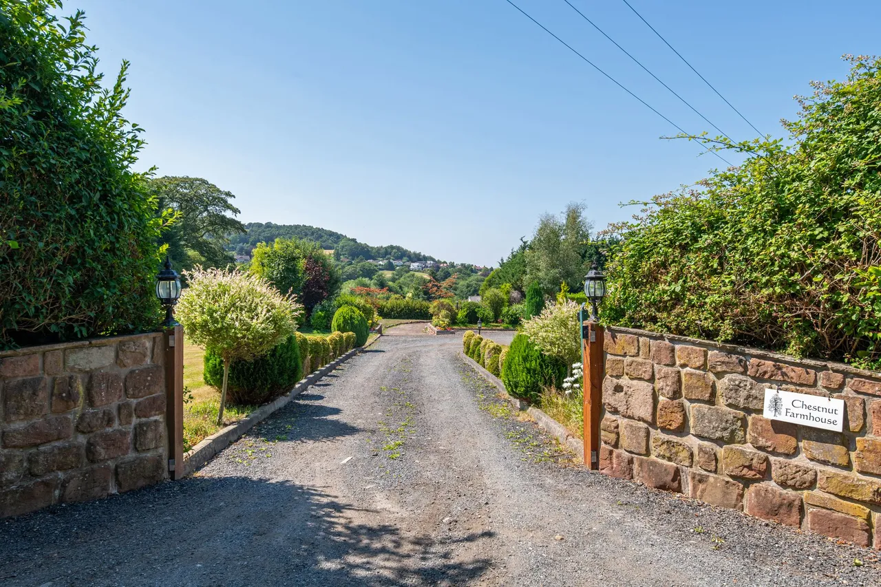 Frodsham, photo 32