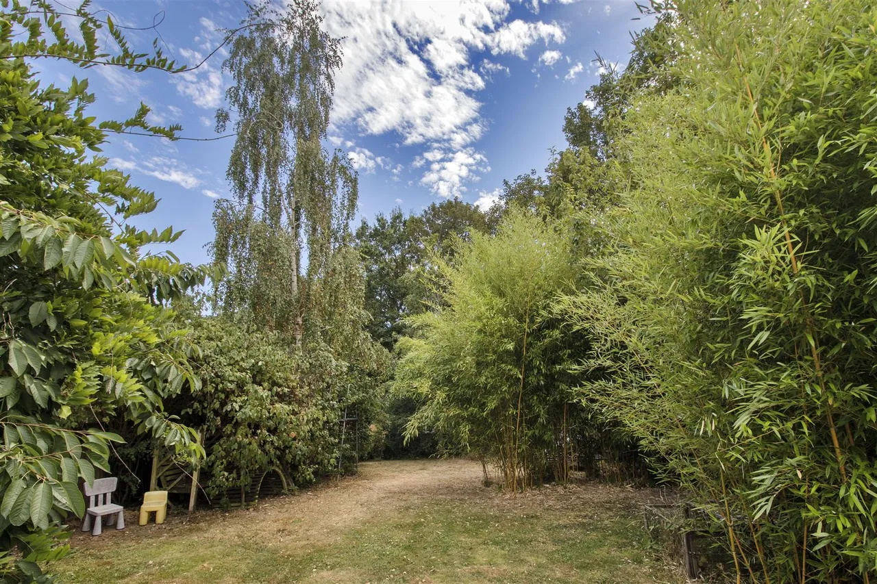 Birch Close, Hildenborough, photo 17