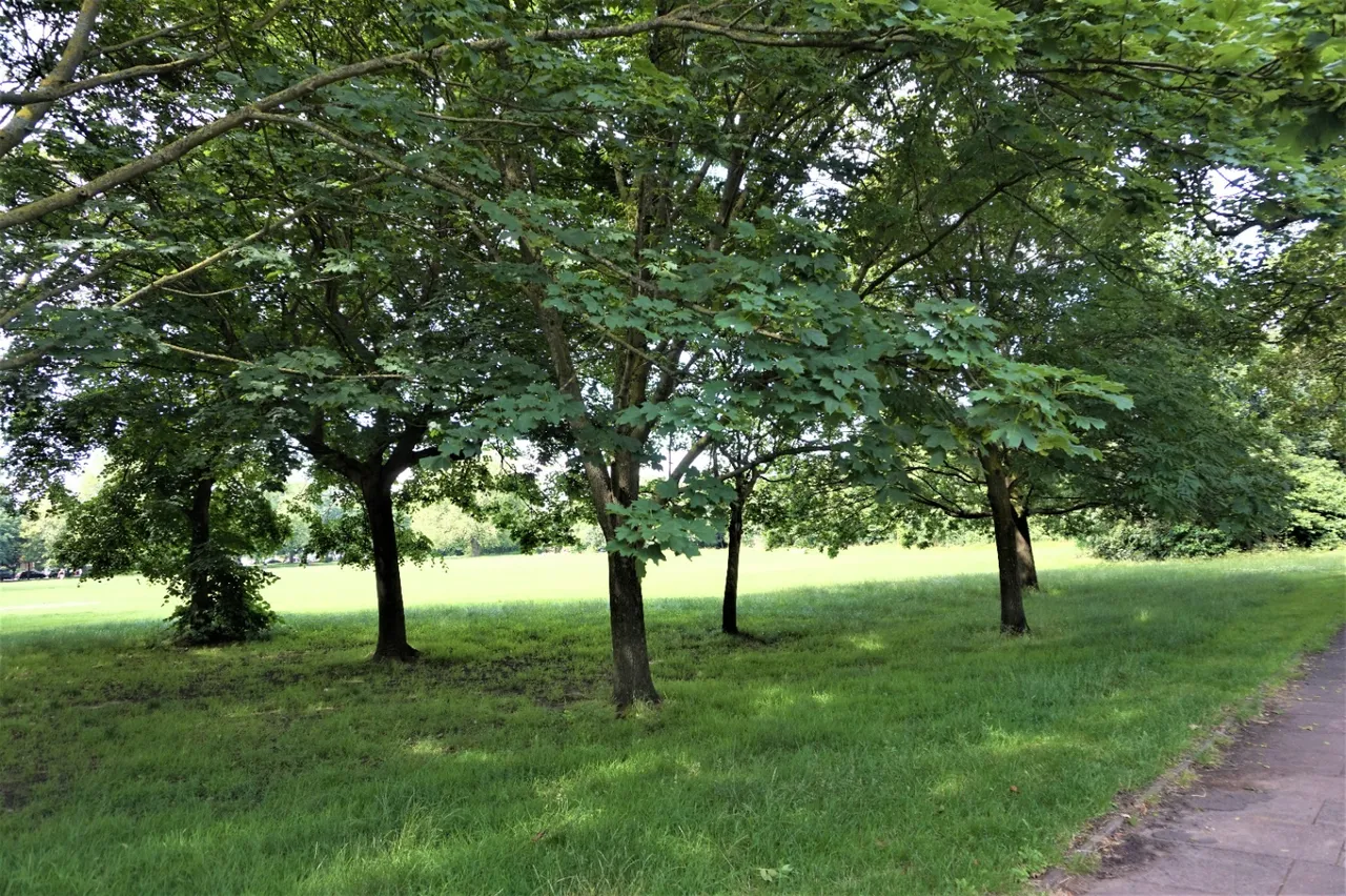 Windmill Road, London, SW18, photo 10