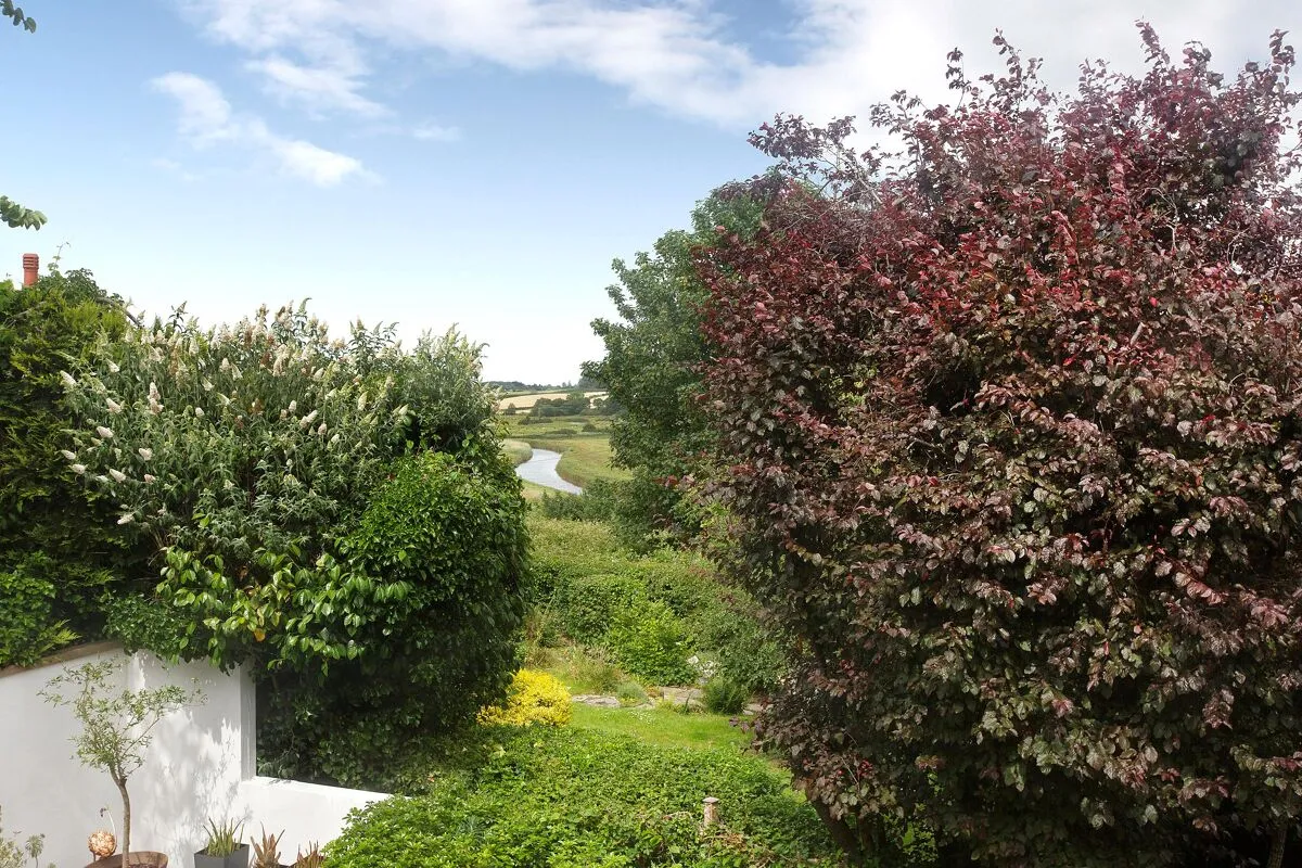 Elm Grove Road, Topsham, EX3, photo 22
