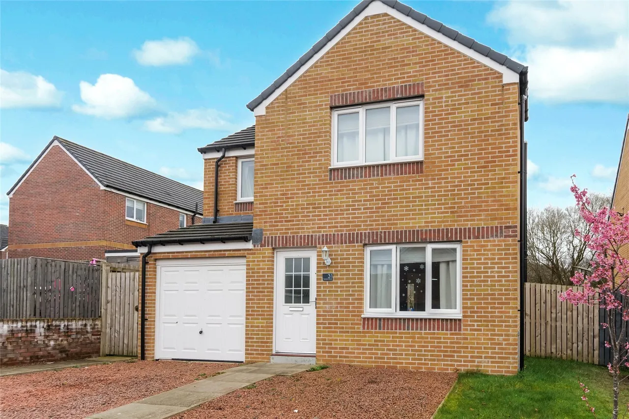 Aquitania Crescent, Larkhall, South Lanarkshire, ML9, photo 20