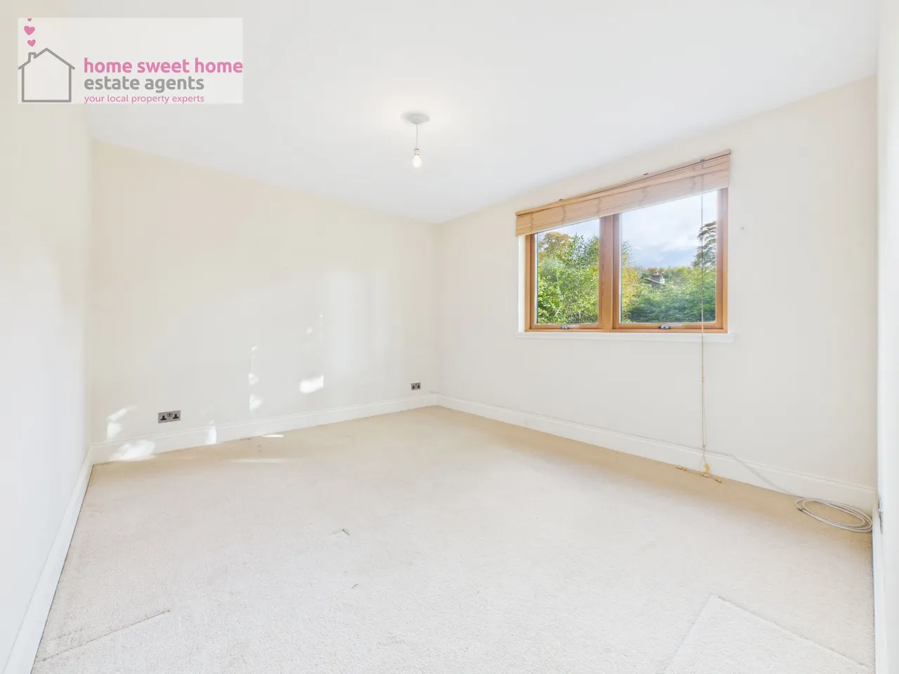 Woodland Park, Contin, IV14, photo 20