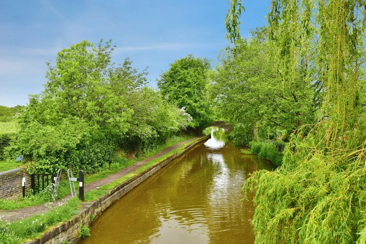 Keats Drive, Rode Heath, Stoke-on-Trent, Cheshire, ST7, photo 19