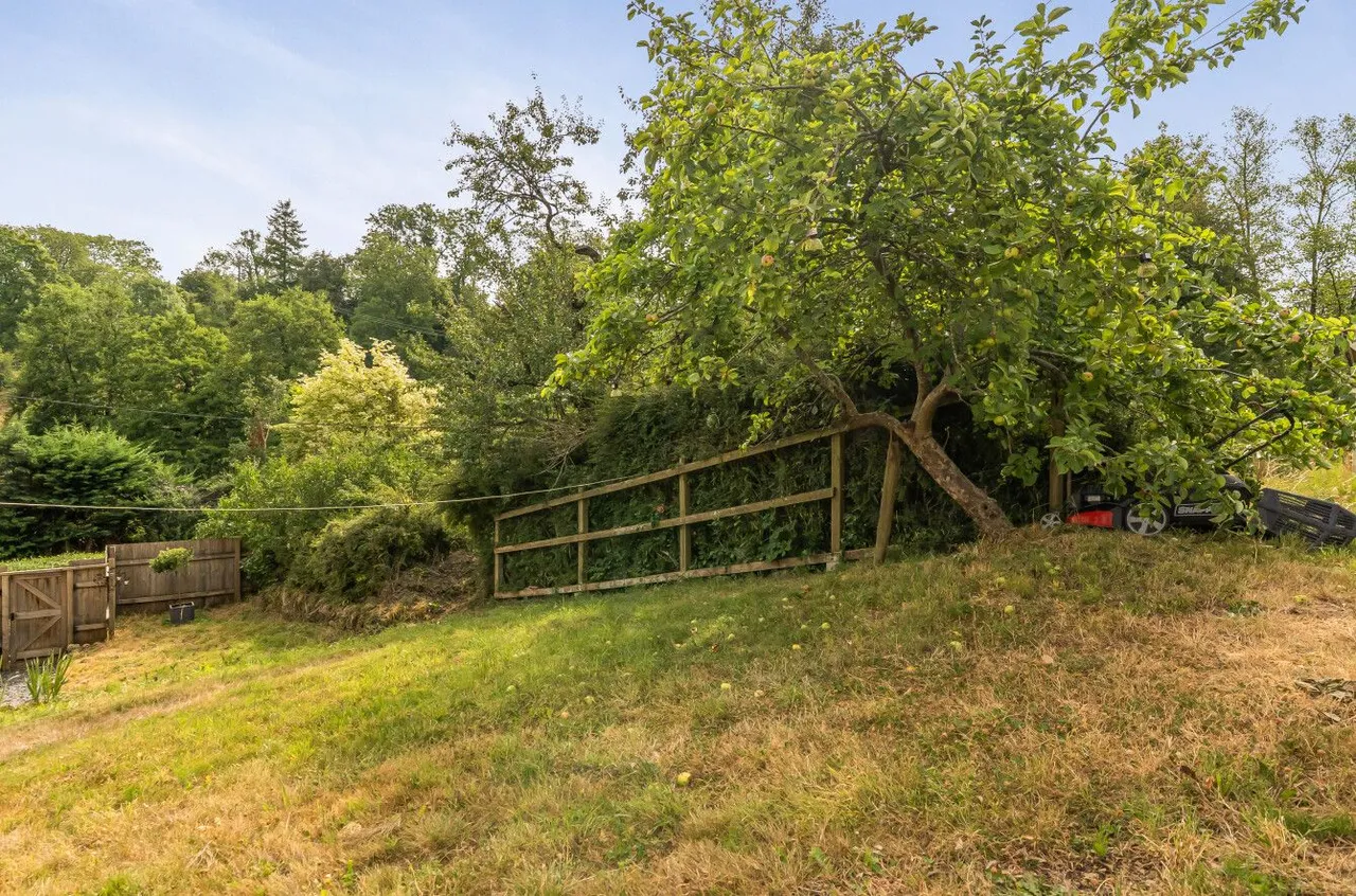 Bath Terrace, Wincanton, BA9, photo 13
