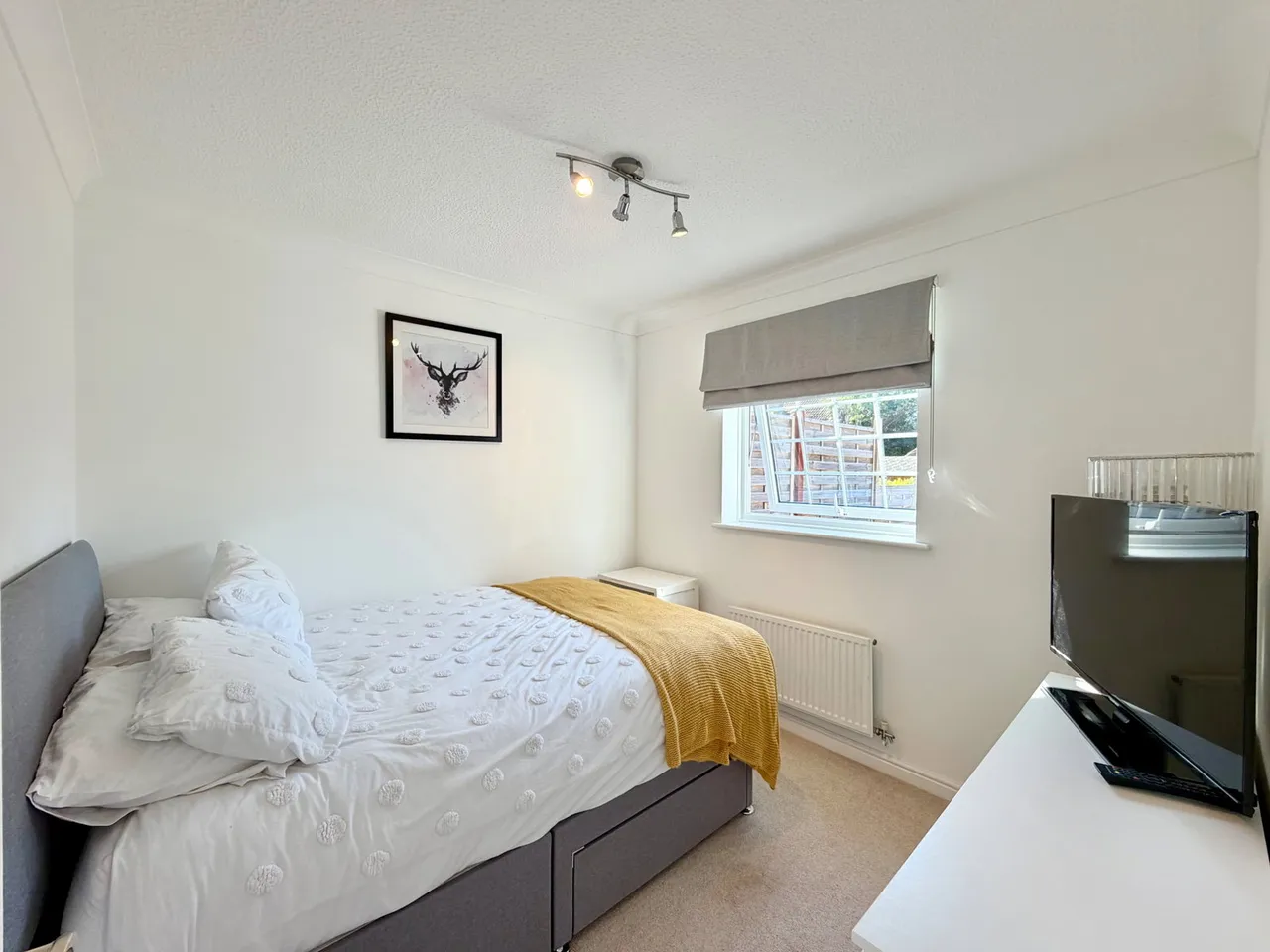Durham Close, Preston, Paignton, photo 11