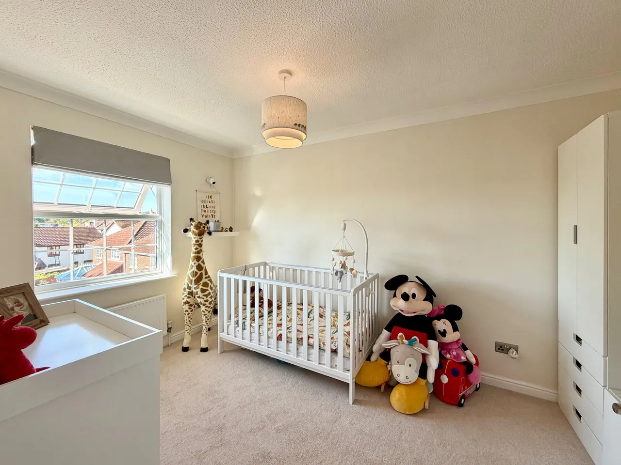 Durham Close, Preston, Paignton, photo 8