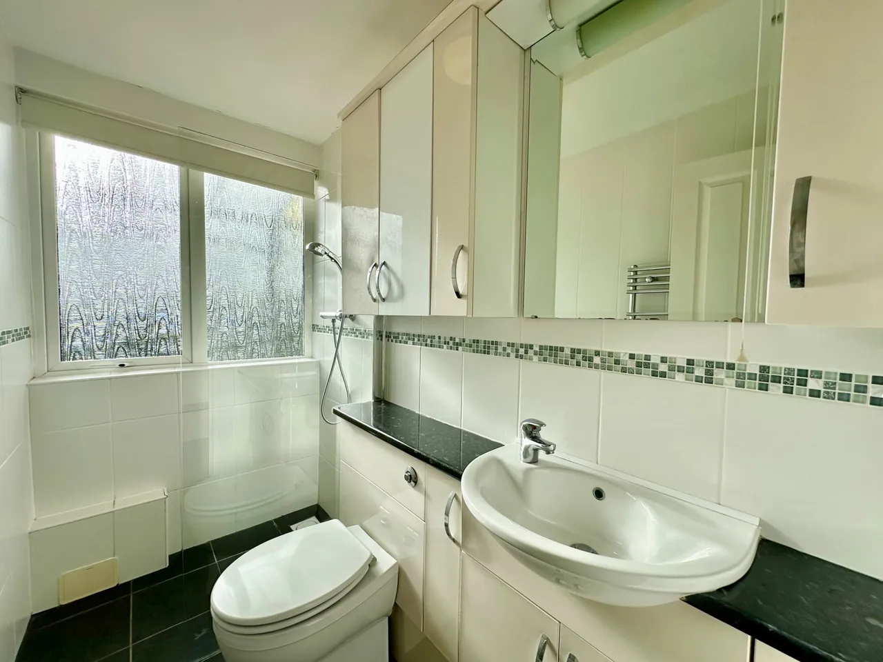 Youngs Park Lane, Goodrington, photo 9