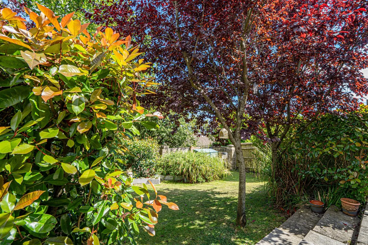 Pine Avenue, Hastings, photo 19