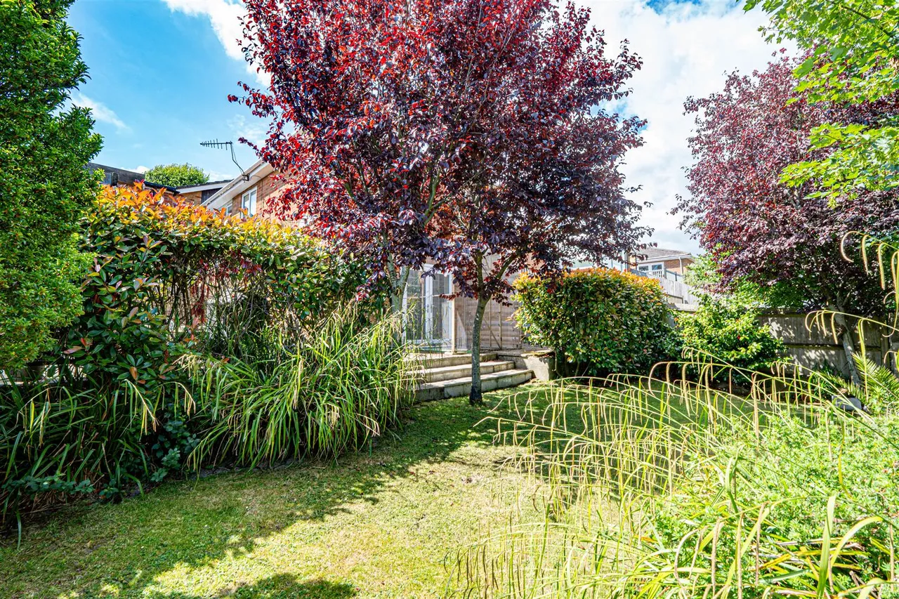 Pine Avenue, Hastings, photo 13