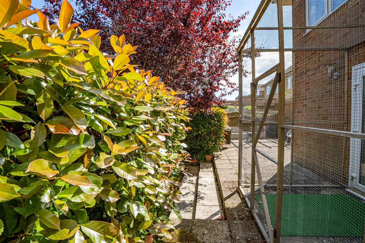 Pine Avenue, Hastings, photo 24