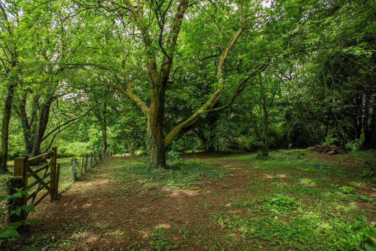 Lurley, Tiverton, EX16, photo 28