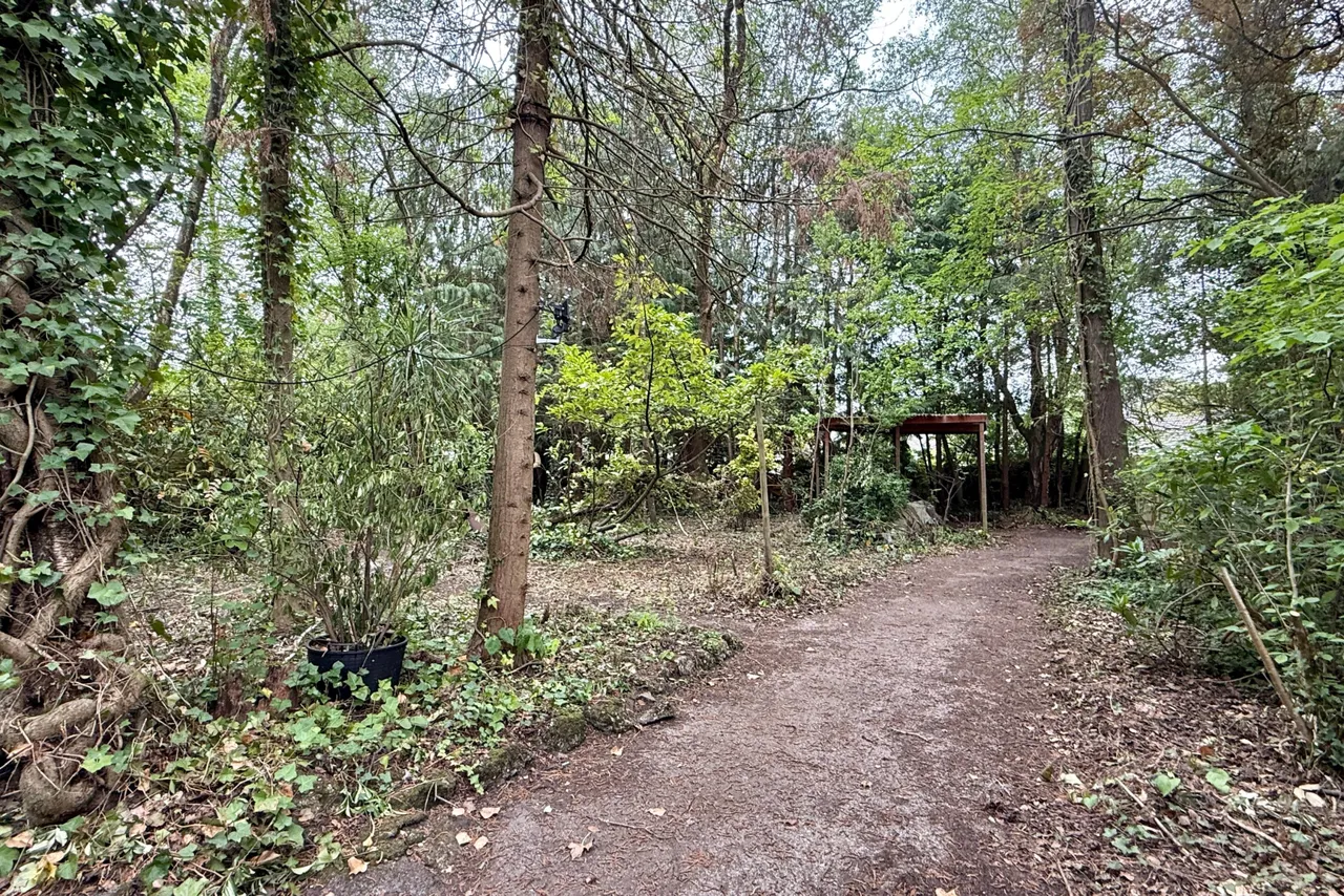 St Leonards Way, Ashley Heath, BH24, photo 9