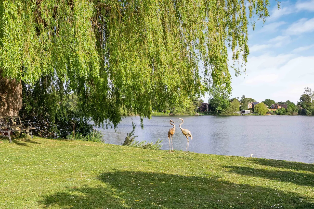 Summerleaze Road, Maidenhead, SL6 8EN, photo 6