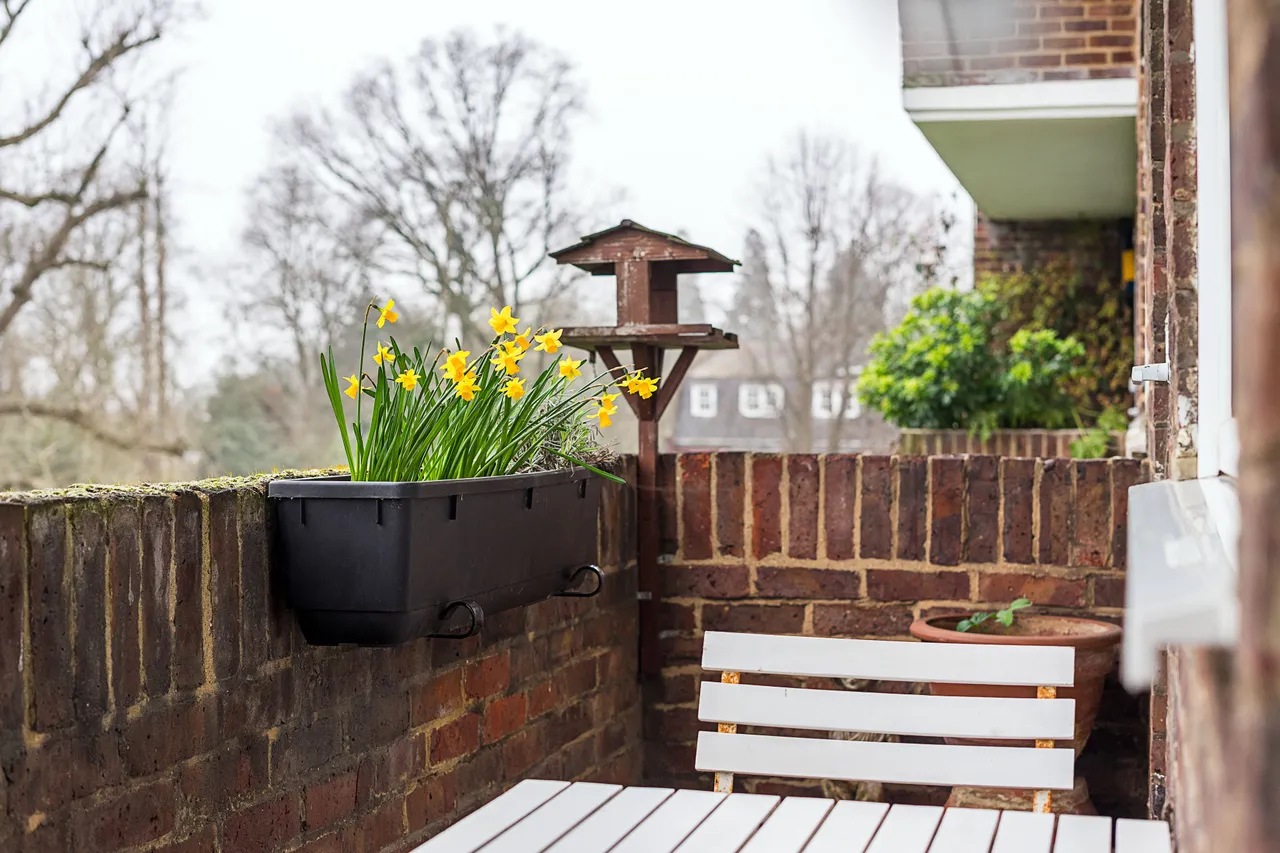 Montpelier Road, Ealing, W5, photo 12