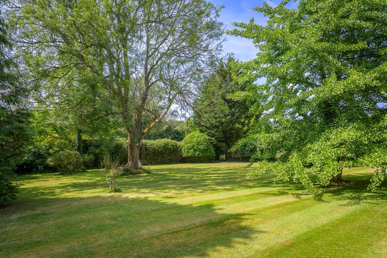Catherington, Hampshire, photo 38