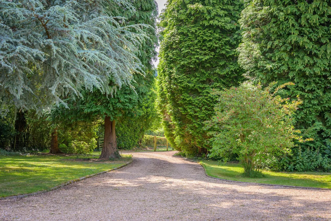 Catherington, Hampshire, photo 39