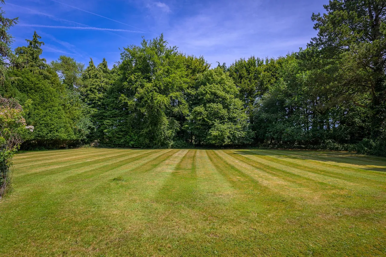 Catherington, Hampshire, photo 46