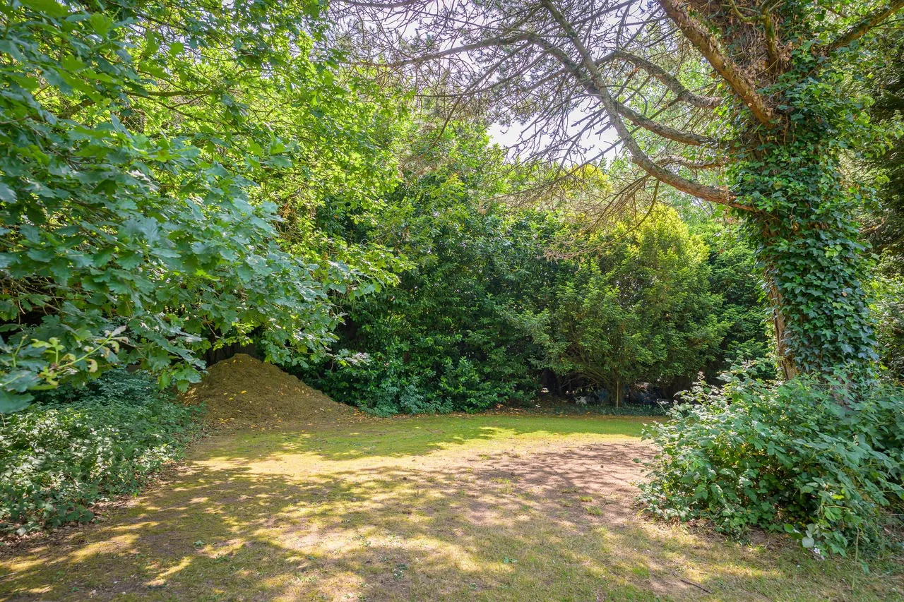Catherington, Hampshire, photo 49