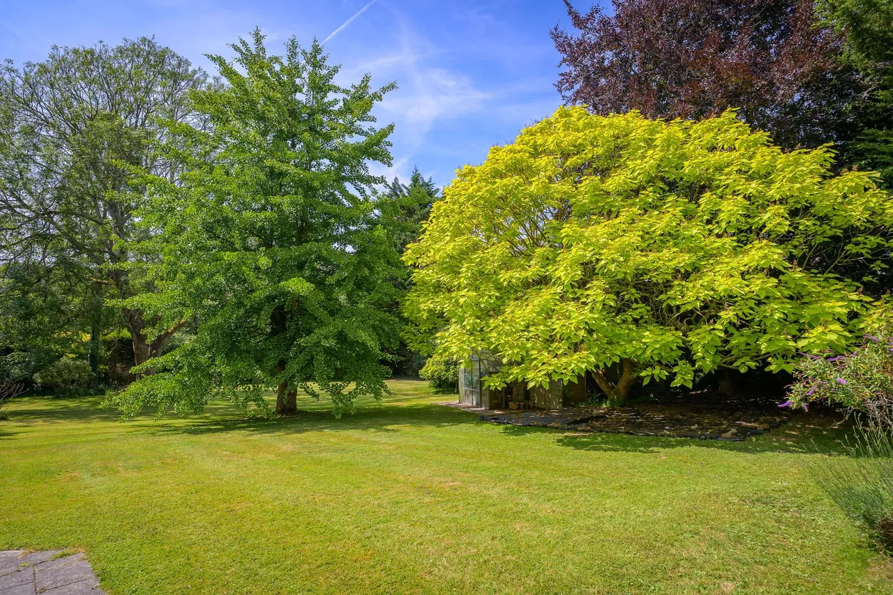 Catherington, Hampshire, photo 37