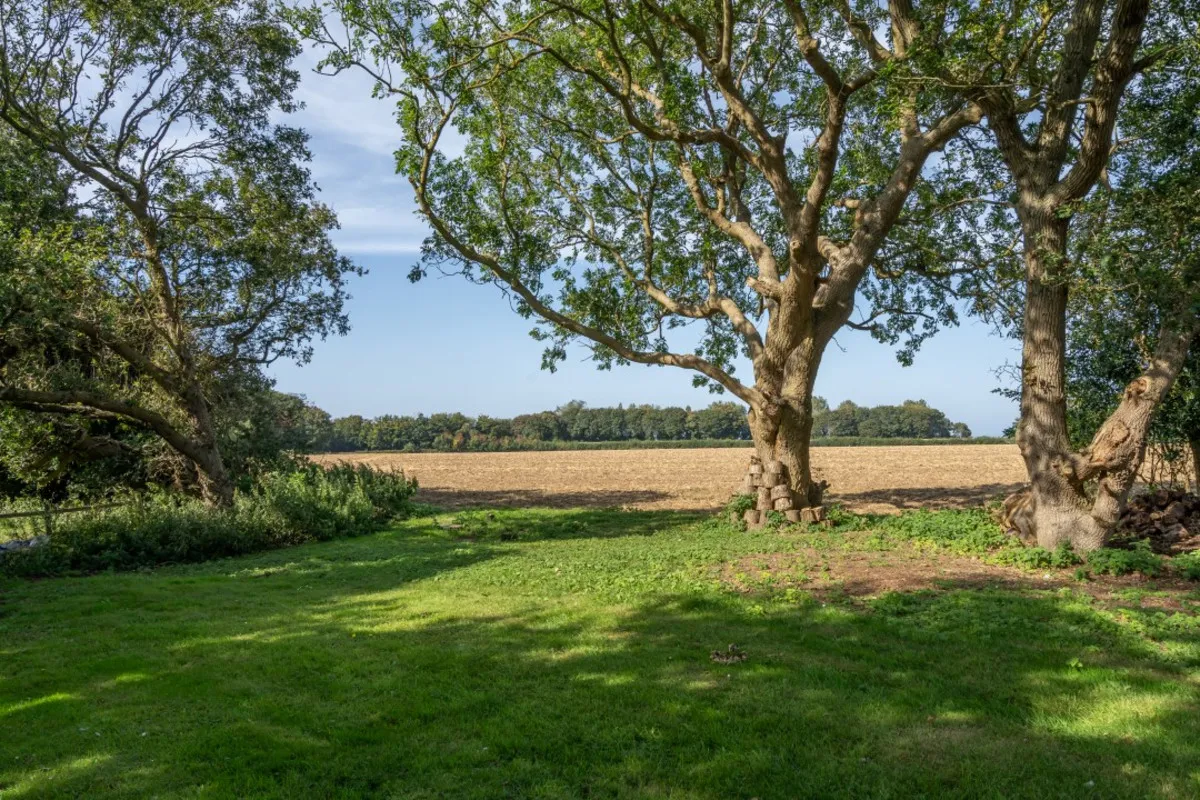 Hillside Loke, Roughton, NR11, photo 31