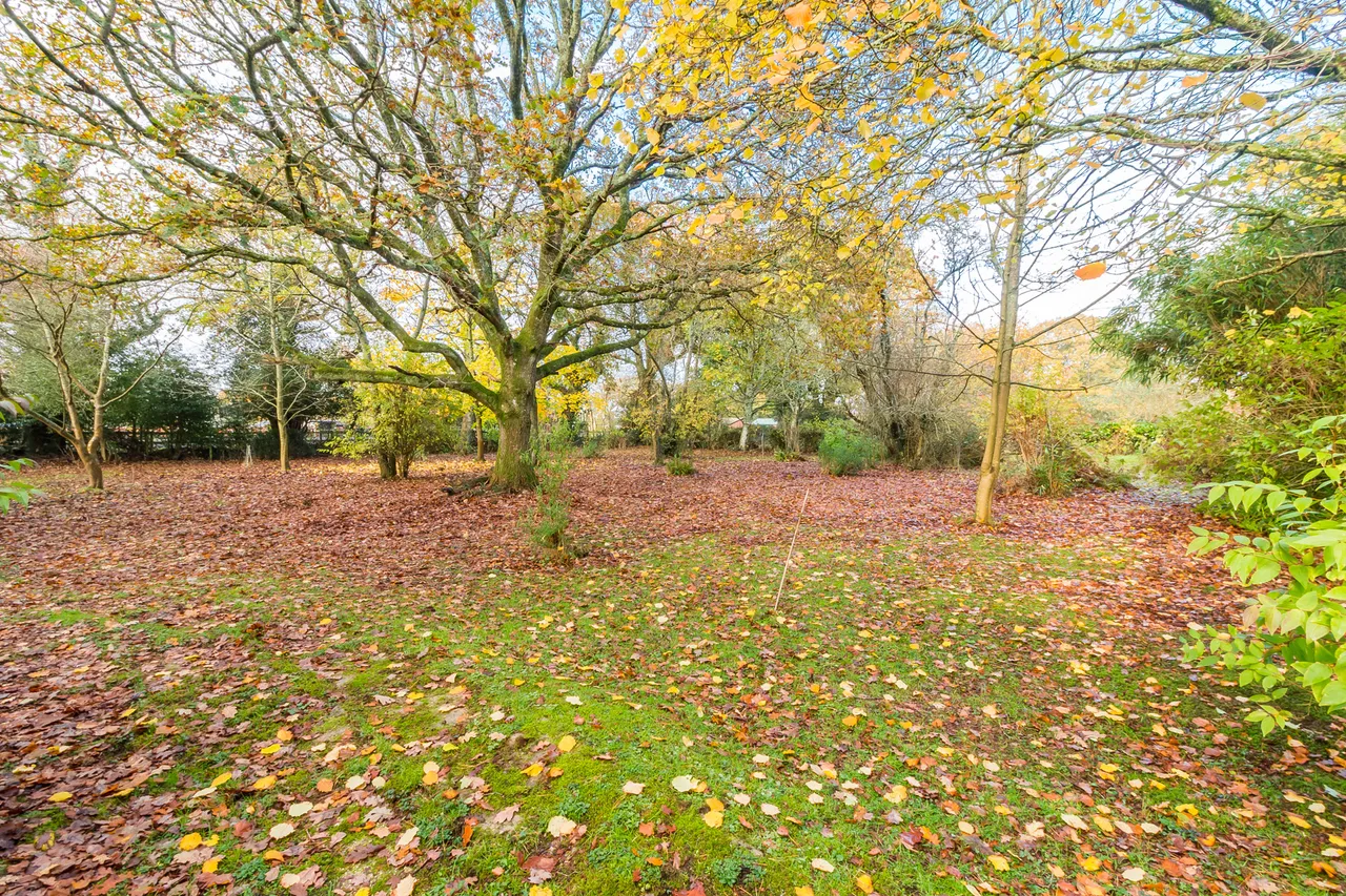 Bisterne Close, Ringwood, BH24, photo 21