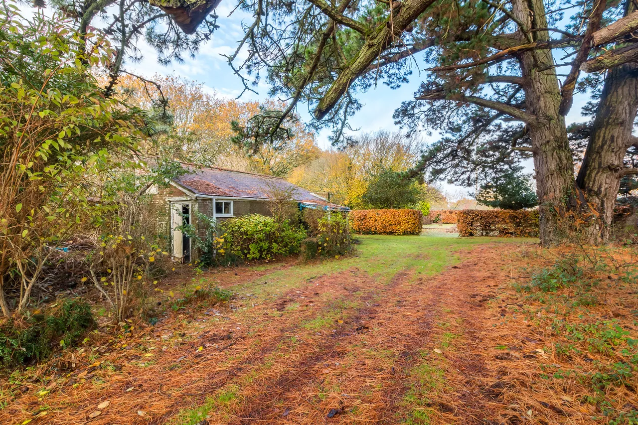Bisterne Close, Ringwood, BH24, photo 19