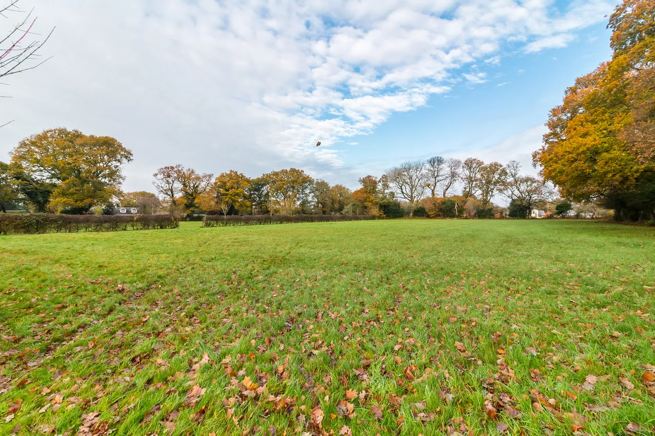 Bisterne Close, Ringwood, BH24, photo 17