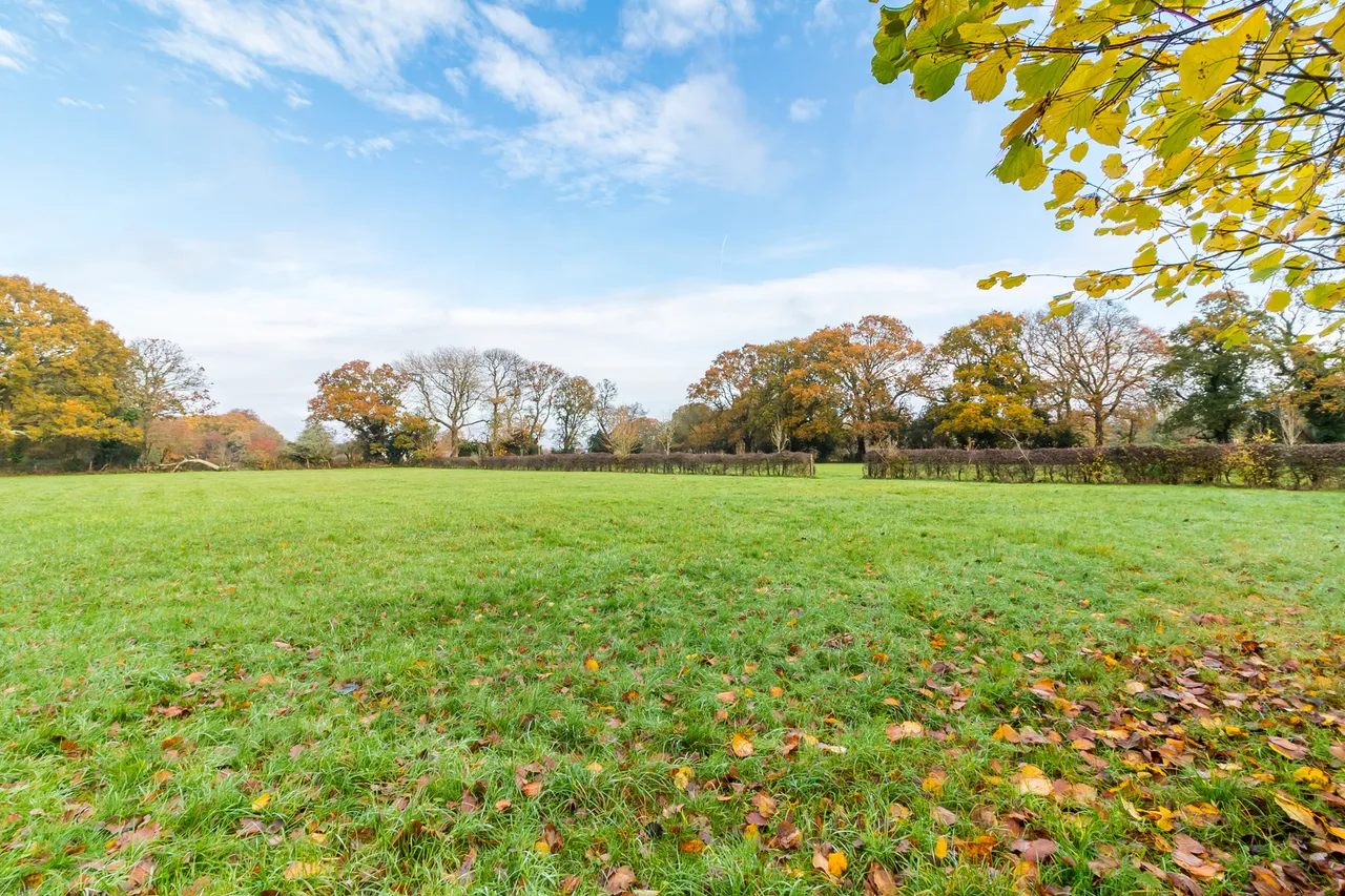 Bisterne Close, Ringwood, BH24, photo 18