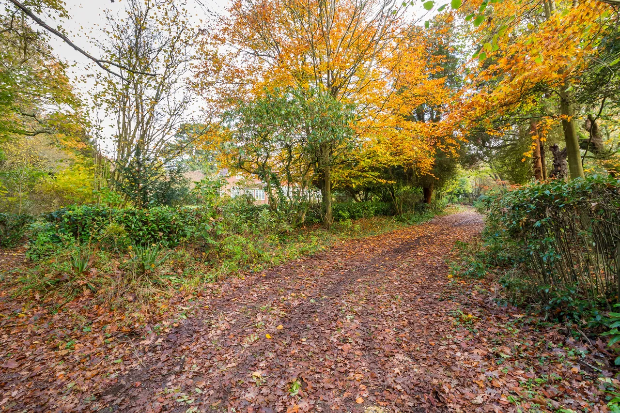 Bisterne Close, Ringwood, BH24, photo 25