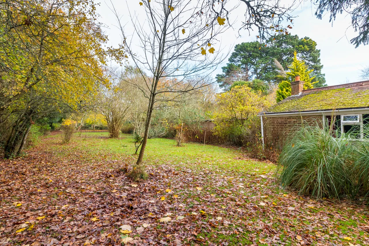 Bisterne Close, Ringwood, BH24, photo 14