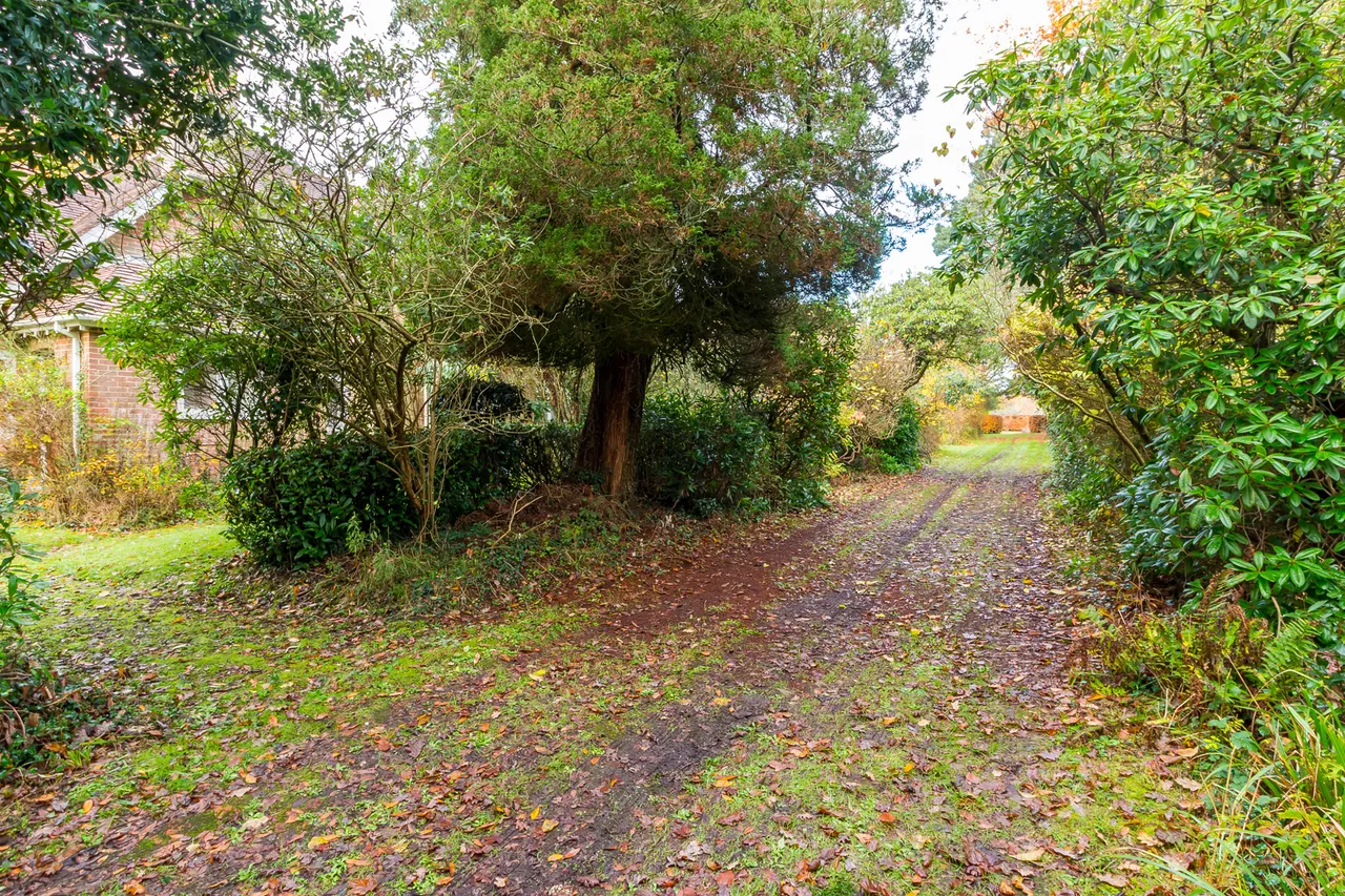 Bisterne Close, Ringwood, BH24, photo 15