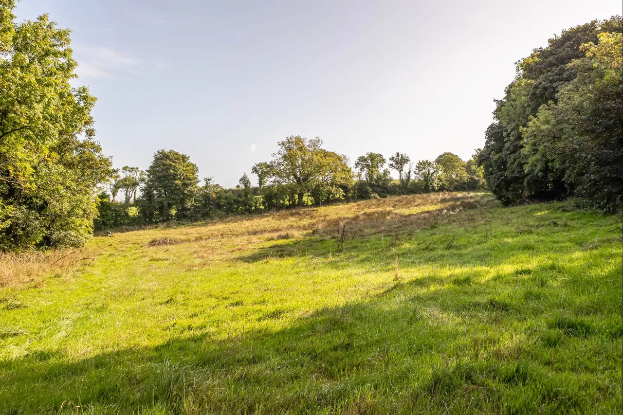 Kilntown Road, Dromore, BT25, photo 18