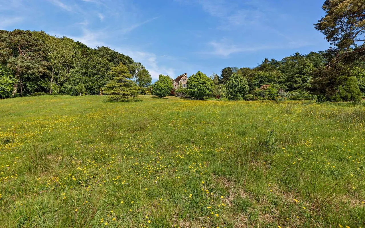 Llanfair Caereinion, Welshpool, SY21, photo 33