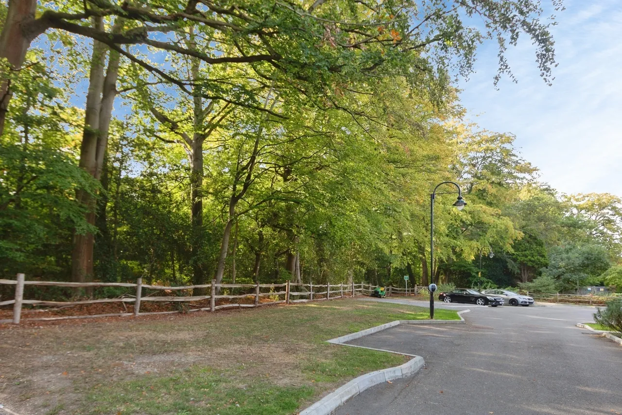 Woodside Close, Bagshot, GU19, photo 6
