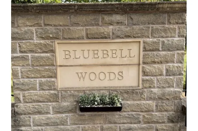 Bluebell Drive, Bradford, BD12, photo 25