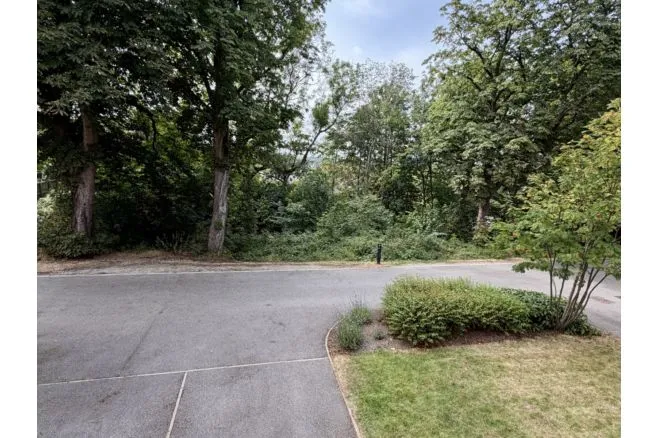 Bluebell Drive, Bradford, BD12, photo 21