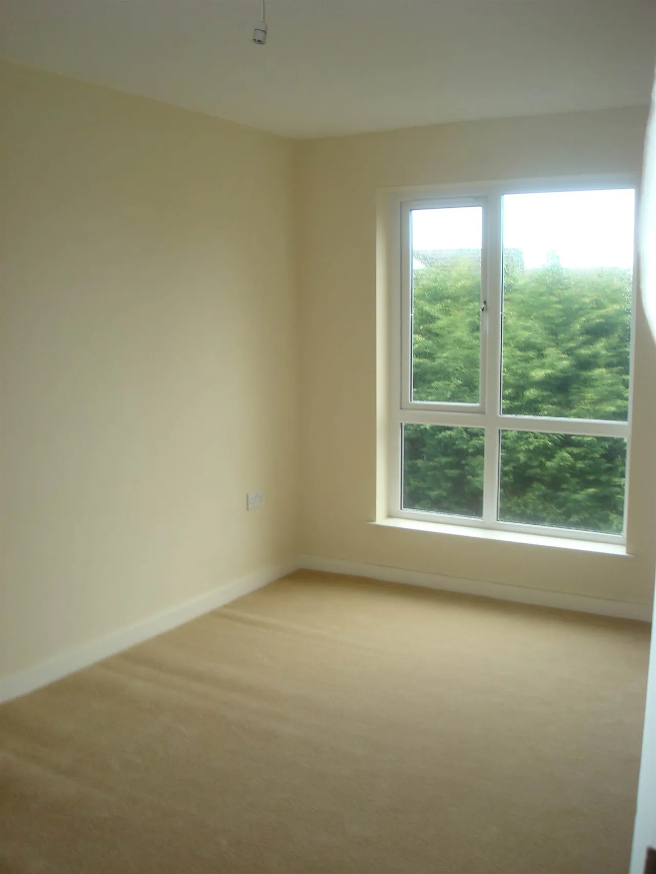 Belmont Road, Belfast, BT4, photo 2