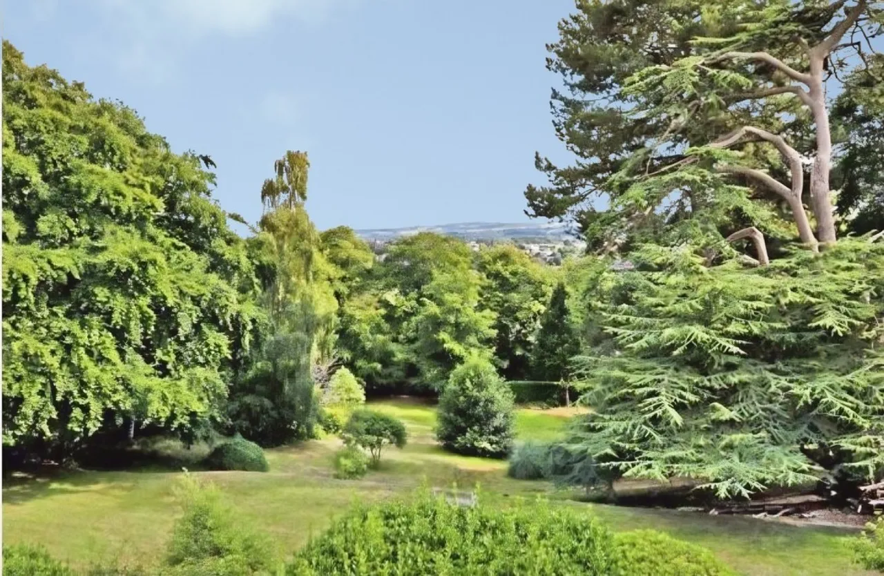 Pennsylvania, Exeter, Devon, photo 9