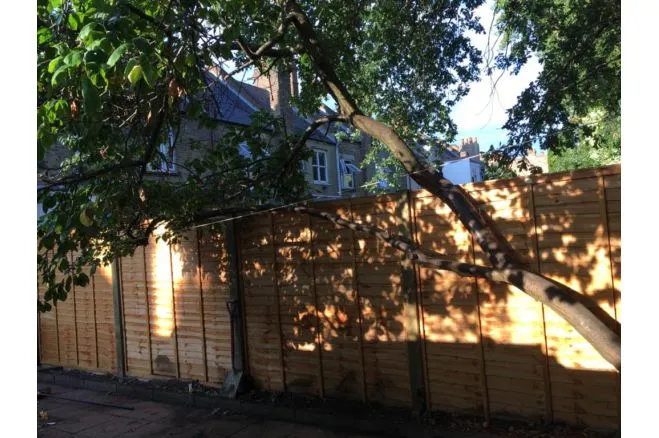 Northborough Road, London, SW16, photo 26