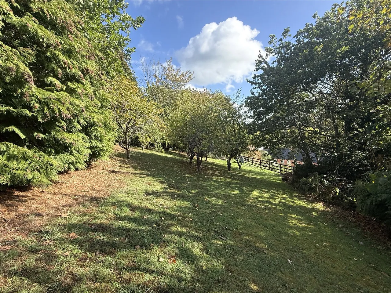 Hillside Avenue, Newtown, SY16, photo 27