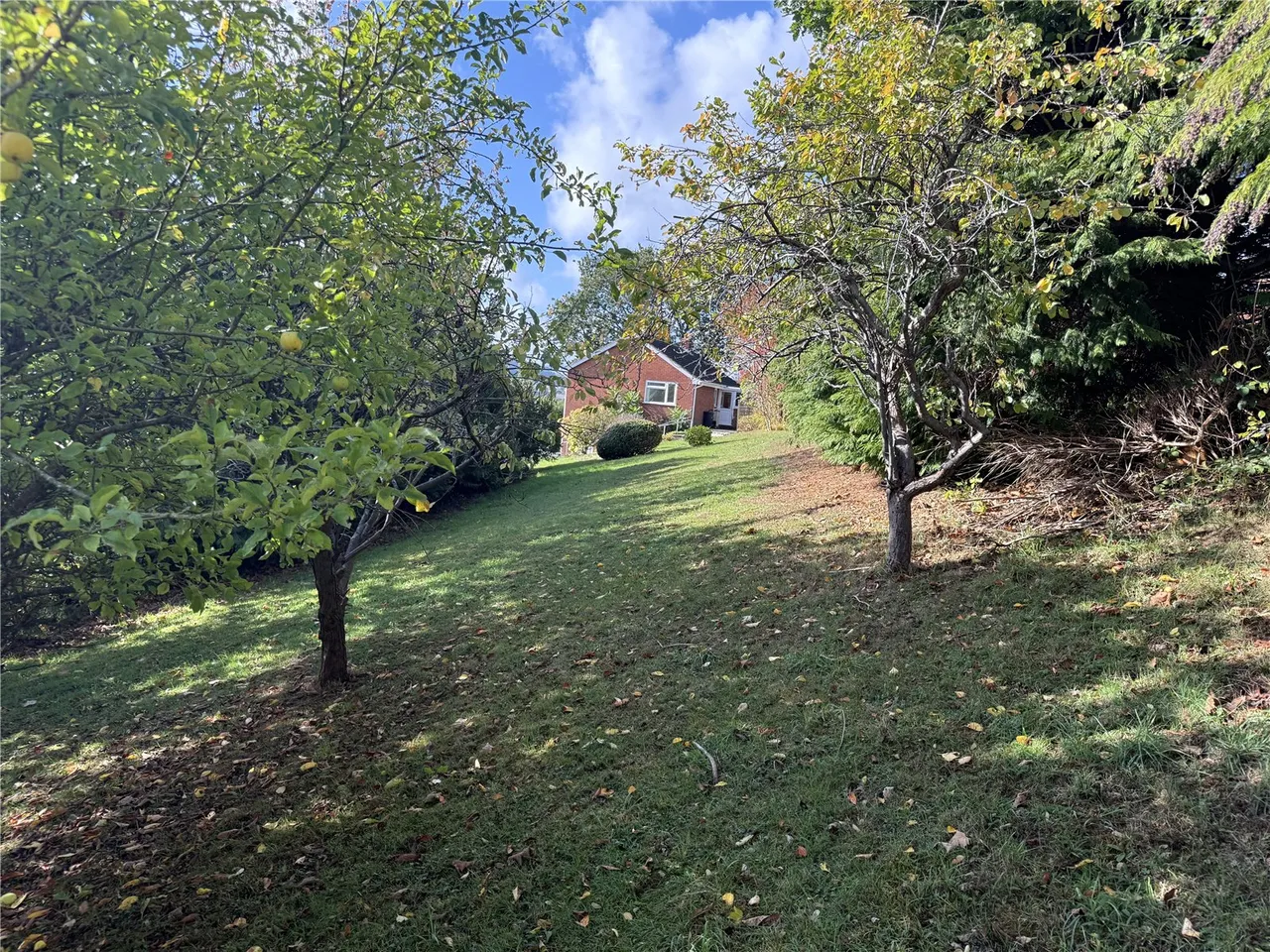 Hillside Avenue, Newtown, SY16, photo 25