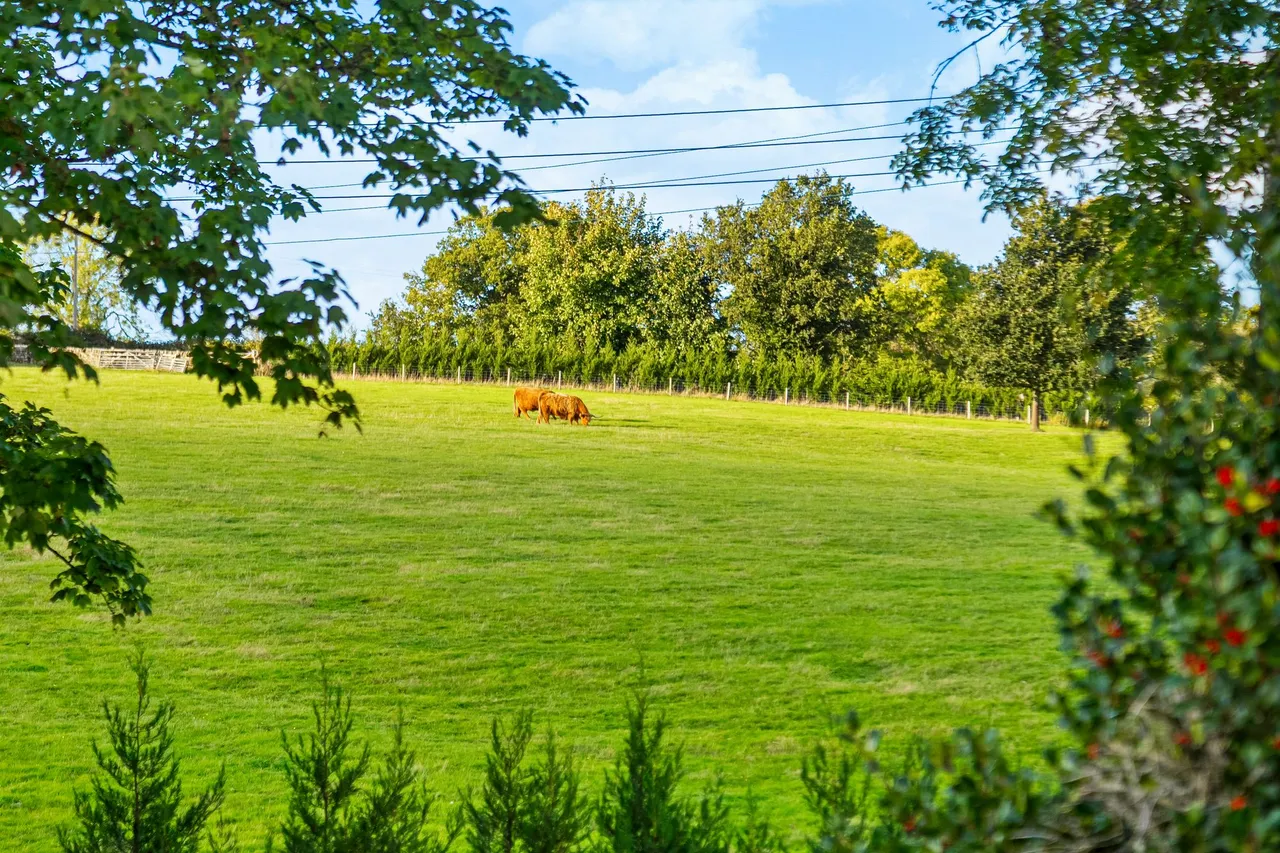 Heron Bank Tang Road, High Birstwith, HG3, photo 43