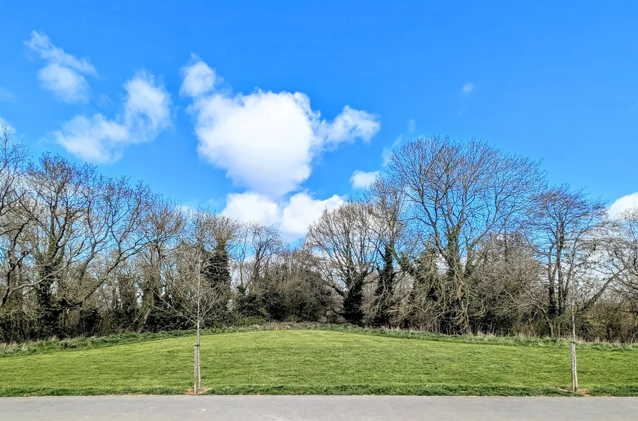 Rangemoor Crescent, Amington, B77, photo 19