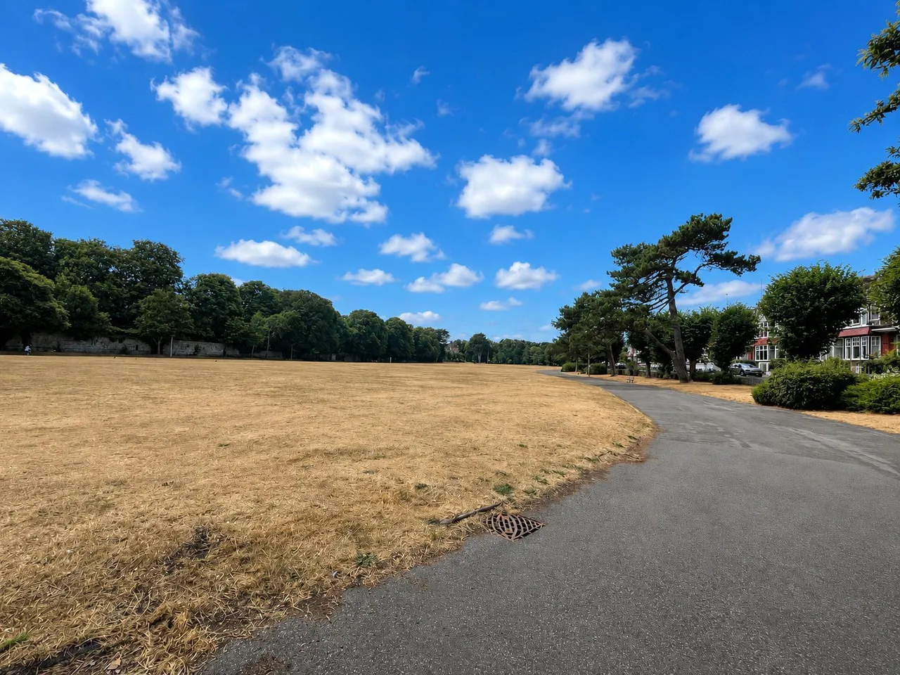 Victoria Avenue, Plymouth, PL1, photo 9