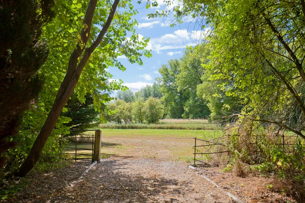 Barton House, East Lockinge, photo 24